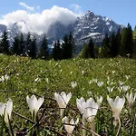 Apartma Alpine Spot *