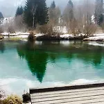 Alpine Spot Apartma *