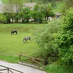 Apartma Alpine Spot Kranjska Gora