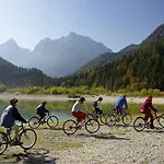 Apartma Alpine Spot *