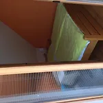 Apartma Alpine Spot *