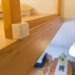 Apartma Alpine Spot Kranjska Gora