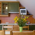 Apartma Alpine Spot *