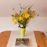 Alpine Spot Kranjska Gora