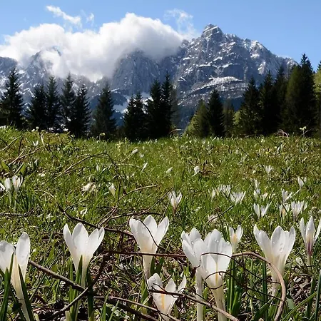 Apartment Alpine Spot *