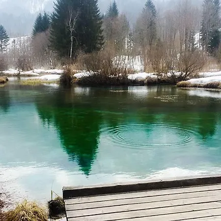 Alpine Spot 아파트 *