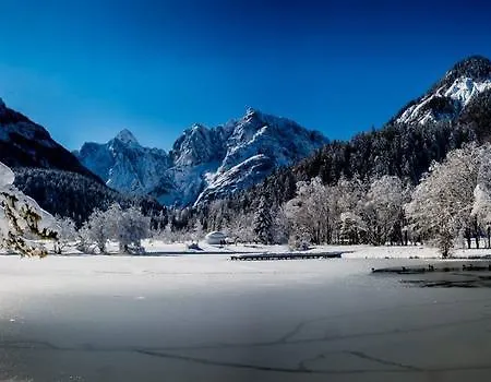 Apartment Alpine Spot