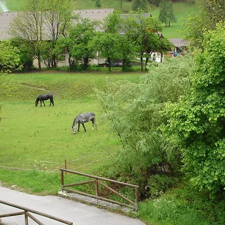 Apartament Alpine Spot Kranjska Gora