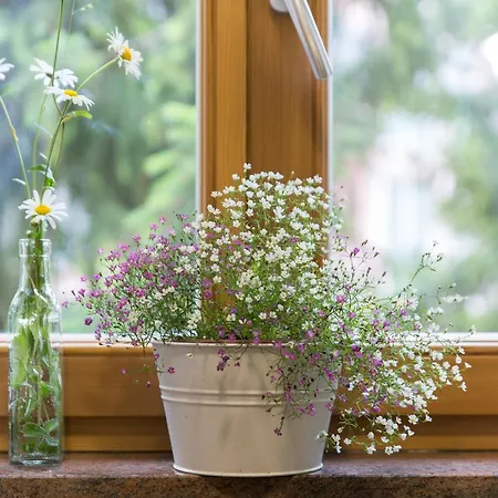 Apartment Alpine Spot *