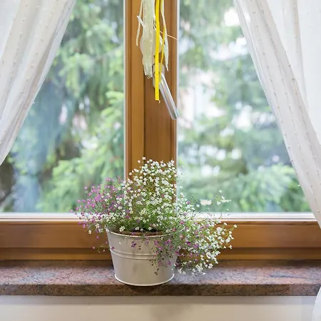 Apartment Alpine Spot