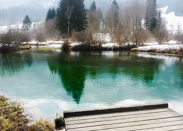 Alpine Spot Апартаменты *