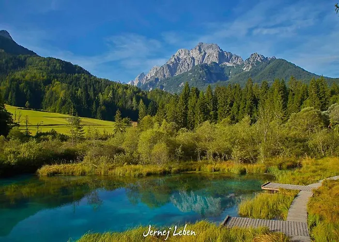 Апартаменты Alpine Spot