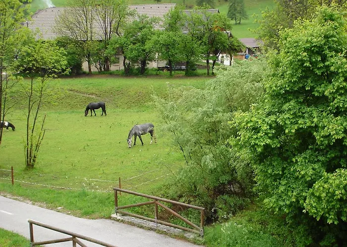Apartment Alpine Spot Kranjska Gora