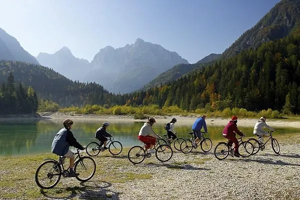 Апартаменты Alpine Spot *