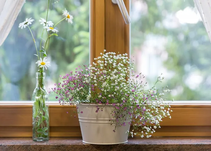 Apartment Alpine Spot *