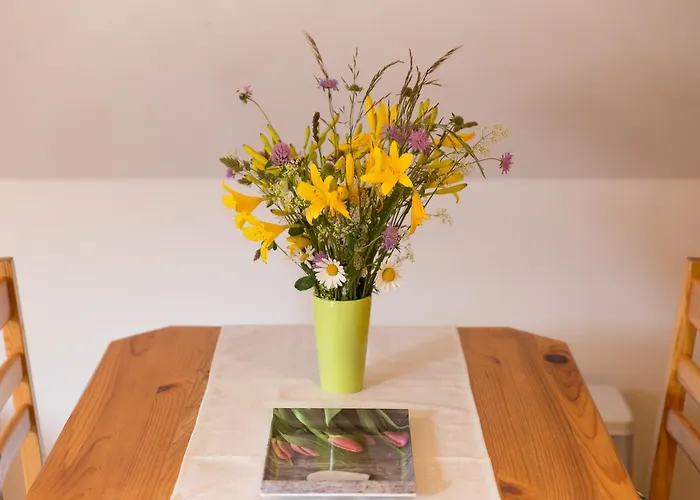 Alpine Spot Краньска Гора